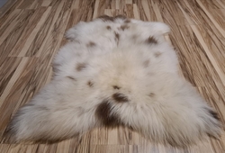 Ovčí kůže